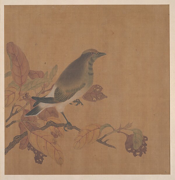 Unidentified artist, Bird on Branch