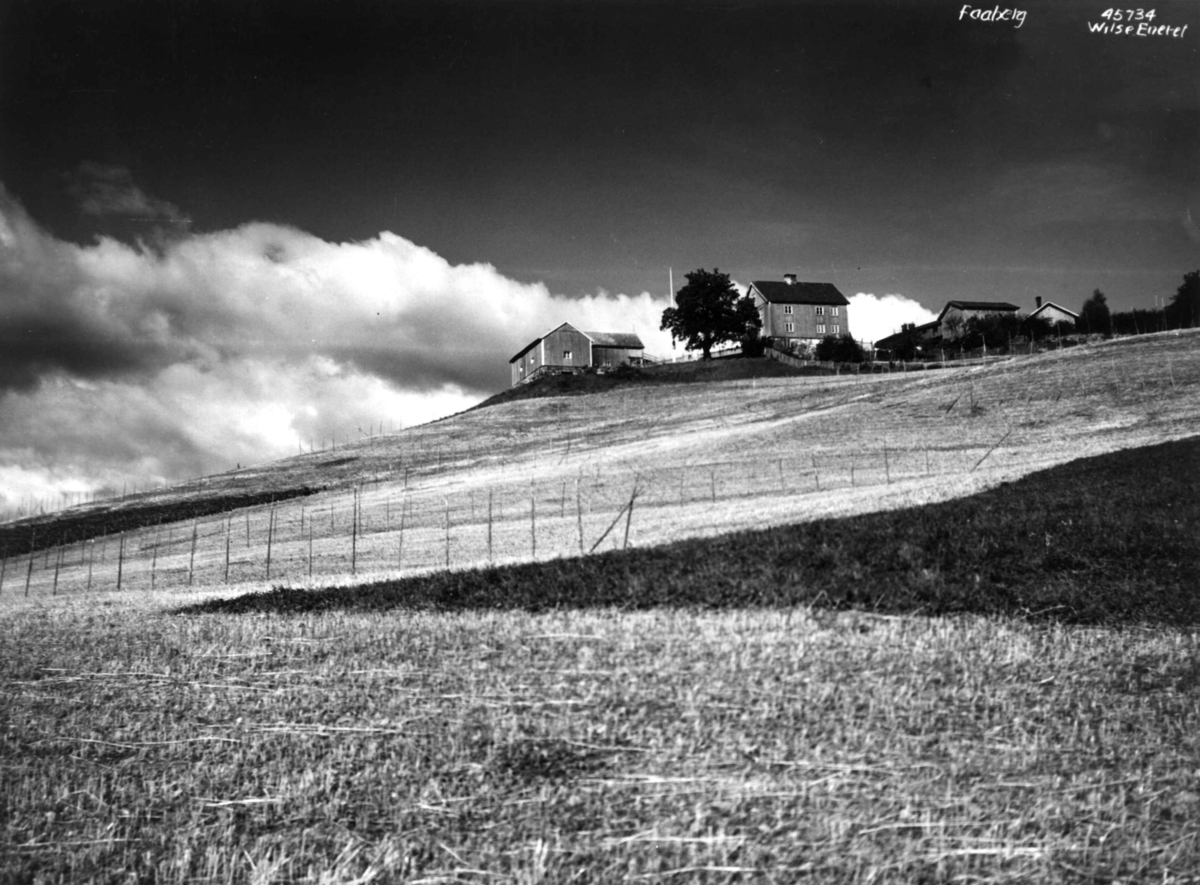Anders Beer Wilse, Landbruk