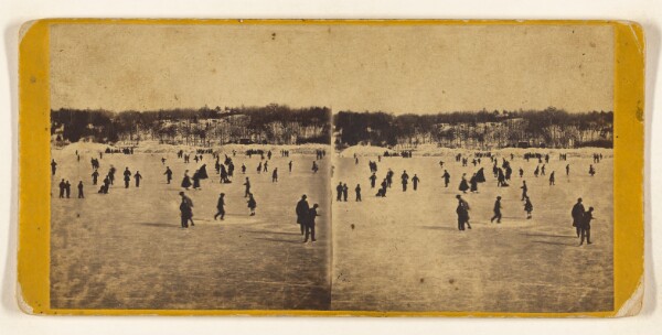 Edward and Henry T. Anthony & Co., Central Park. Skating Scene in Central Park, Winter 1866.