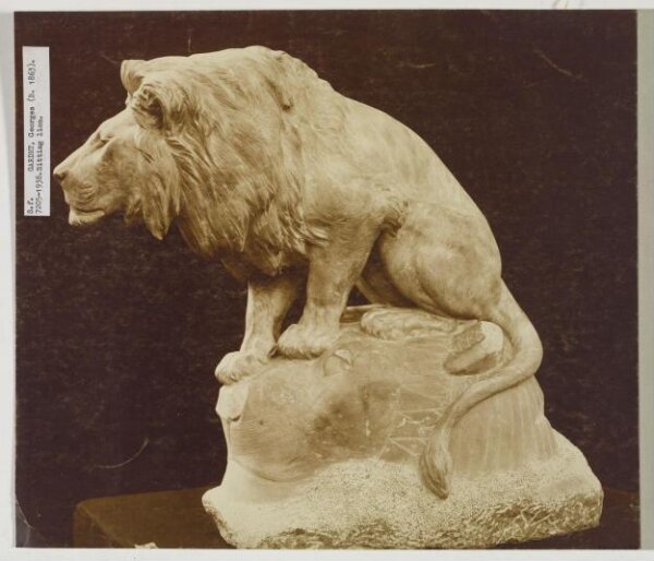 unknown, Photograph