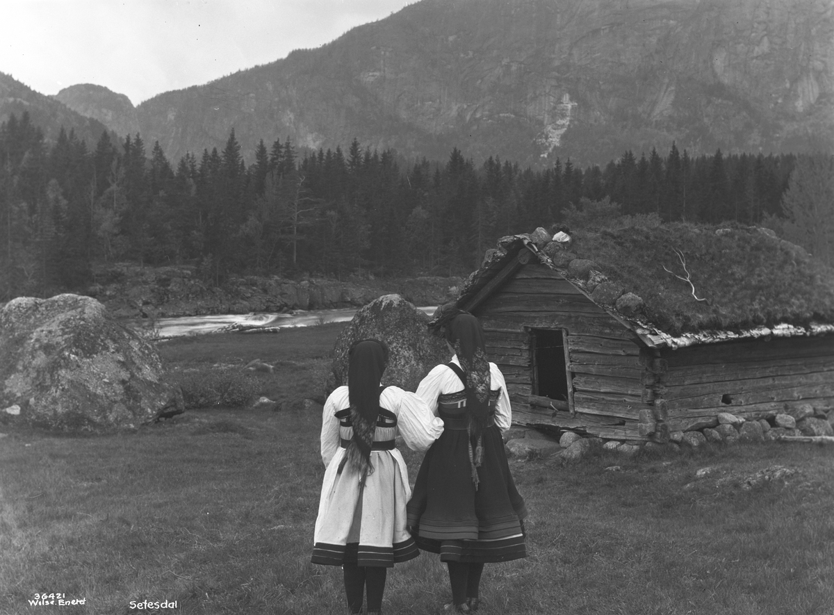 Anders Beer Wilse, Prot: Setesdal, to piker ved seteren