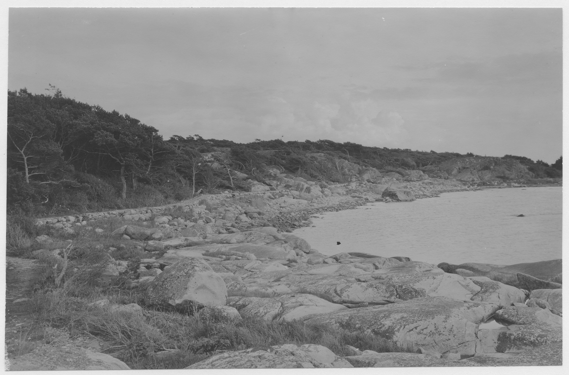 Mårten Sjöbeck, Särö