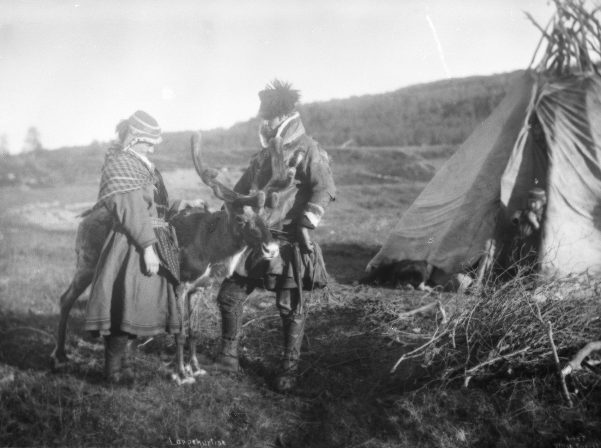 Anders Beer Wilse, Prot: Lapper - Kurtise 13/7 1906