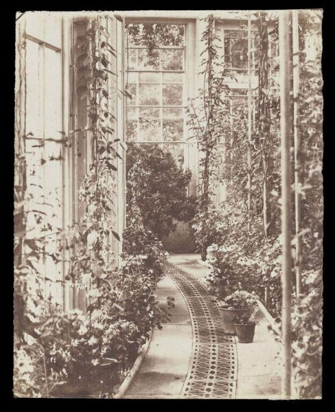 Unknown, Conservatory Scene