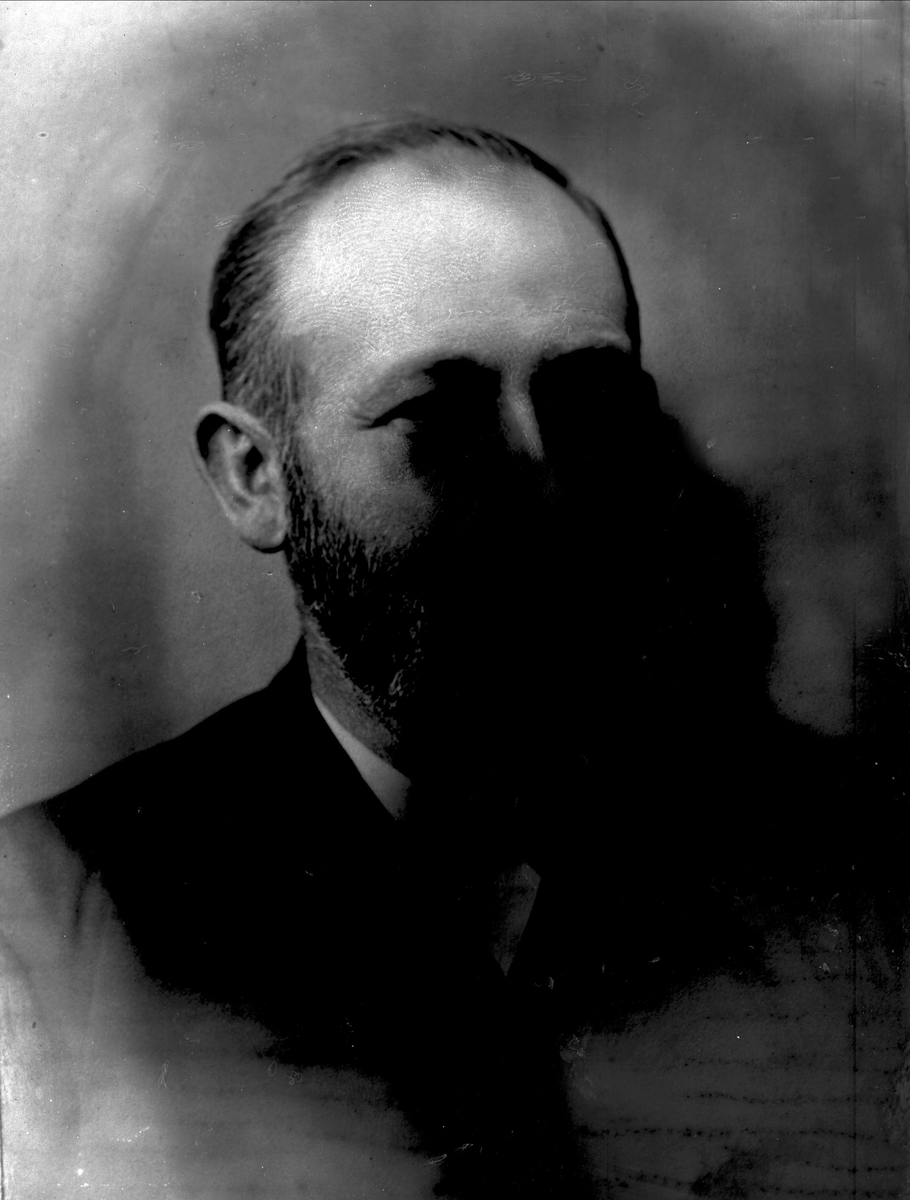 Gustav Borgen, Avfotografering.