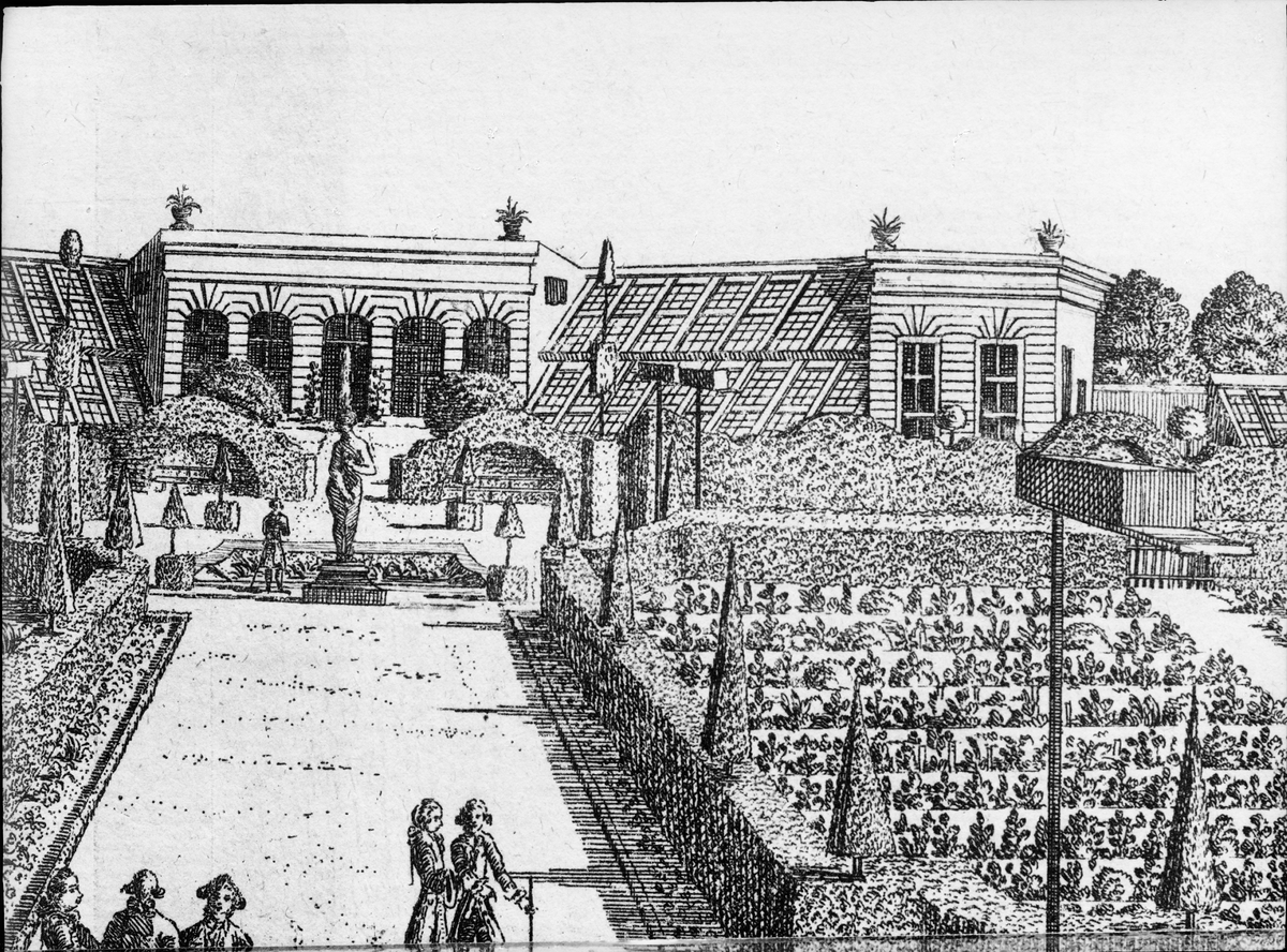 Paul Sandberg, Artwork depicting the Linnaean Garden with the Orangery and the Monkeys