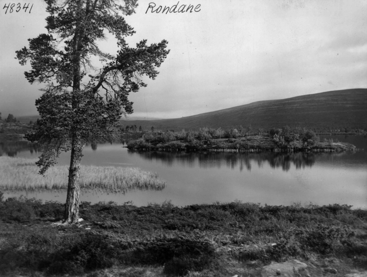 Anders Beer Wilse, Rondane, Furusjoen, Orvillingen, Landskap