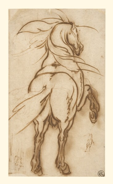 Jacques Callot, Study of a Rearing Horse