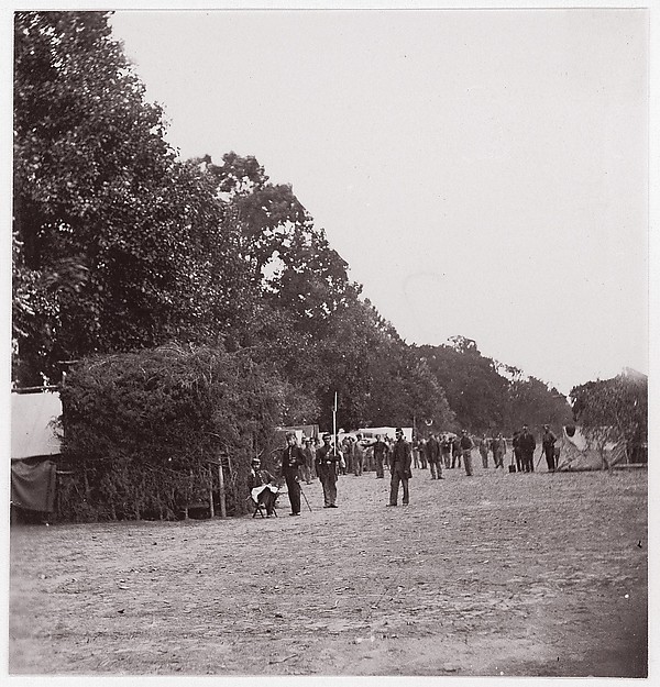 Unknown, [Encampment alongside a stand of trees].  Brady album, p. 123