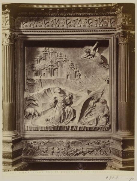 Fratelli Alinari, Photograph