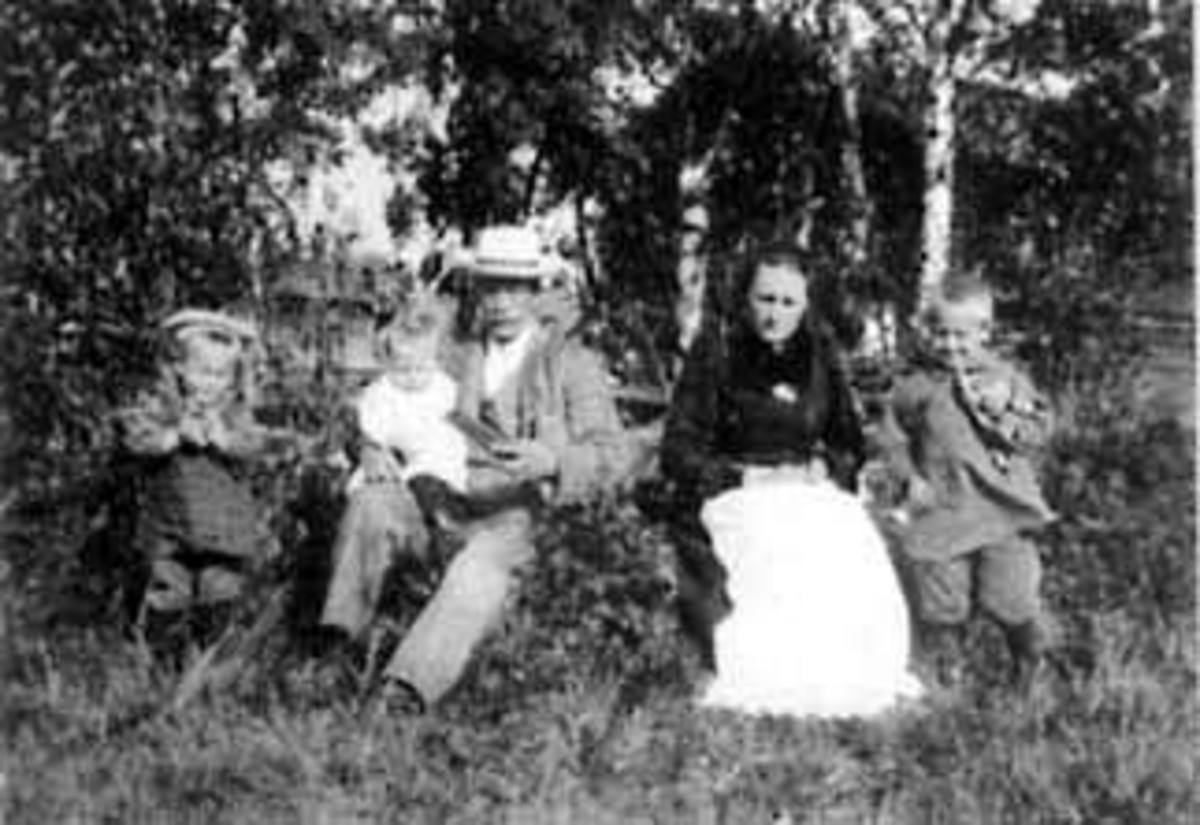 Anno Domkirkeodden, GRUPPE: 5, FAMILIE MED BARN, VOLUNGHOLEN, HOLEN, VOLUNGHOLEN, VALLSET I STANGE