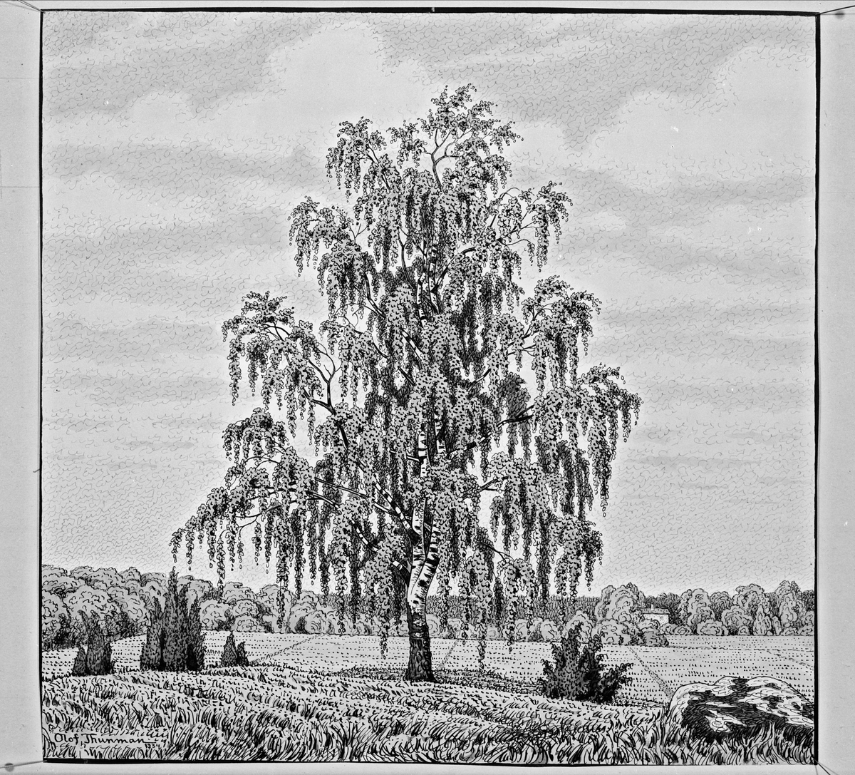 Paul Sandberg, Artwork - graphic sheet with landscape motif signed in 1934 by the artist Olof Thunman