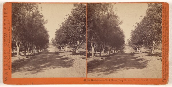Carleton Watkins, At the Residence of L.J. Rose, Esq. Sunny slope, San Gab'l