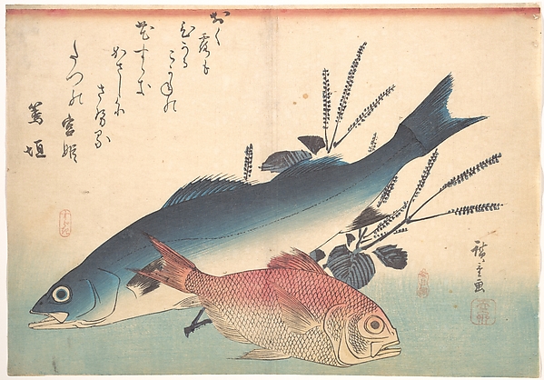 Utagawa Hiroshige, Suzuki and Kinmedai Fish from the series Uozukushi (Every Variety of Fish)