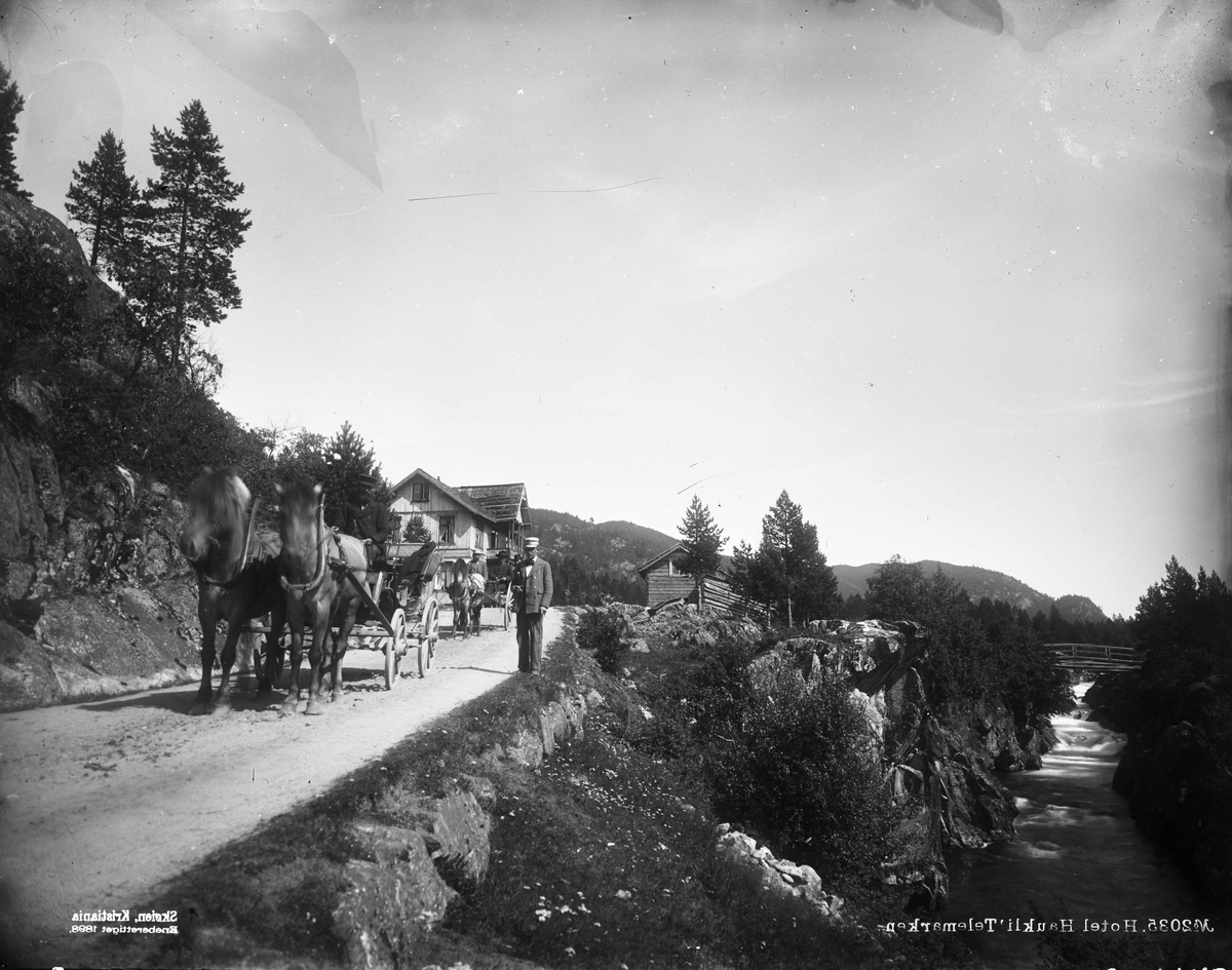 Marthinius Skøien, Hotel Haukeli' Telemarken