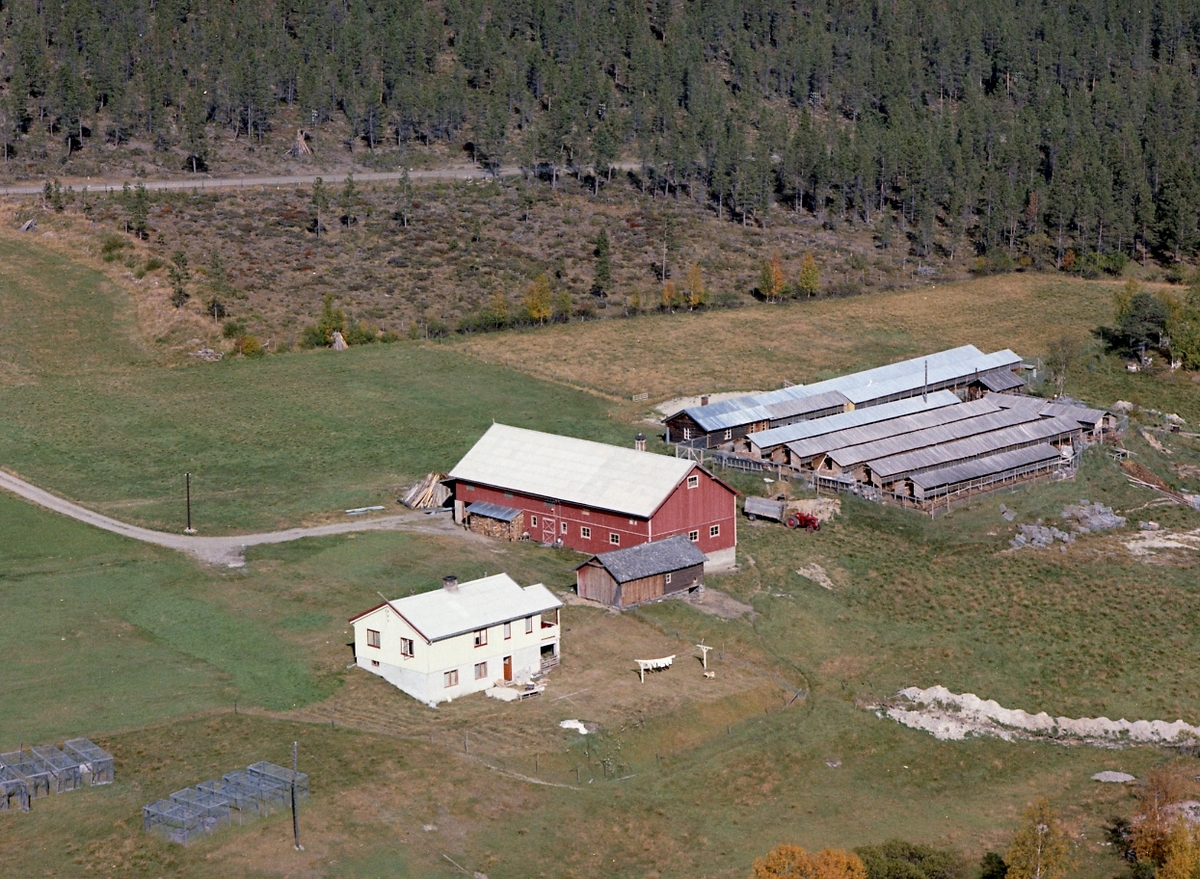 Widerøes Flyveselskap A/S, Flyfoto gardsbruk og pelsdyrfarm