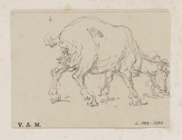 George Chinnery, A grazing goat