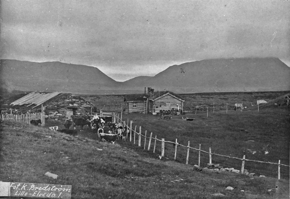 Alexander Bredstrøm Ansberg, Setervoll, fjellandskap Furuhovdsetra