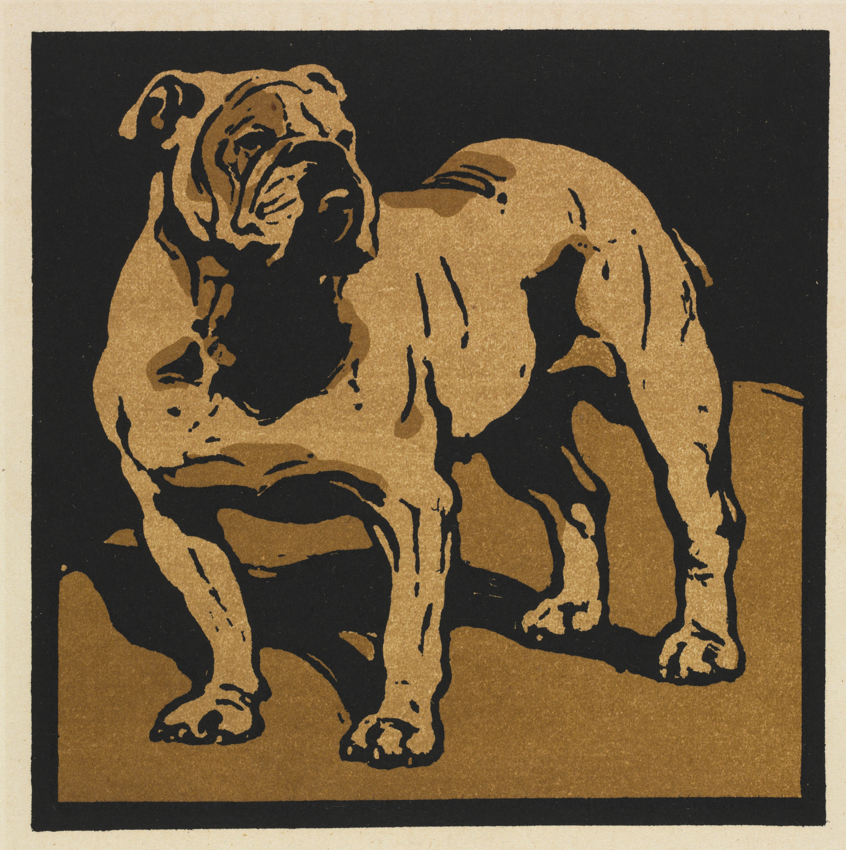 William Nicholson, The Square Book of Animals: The British Bull-Dog