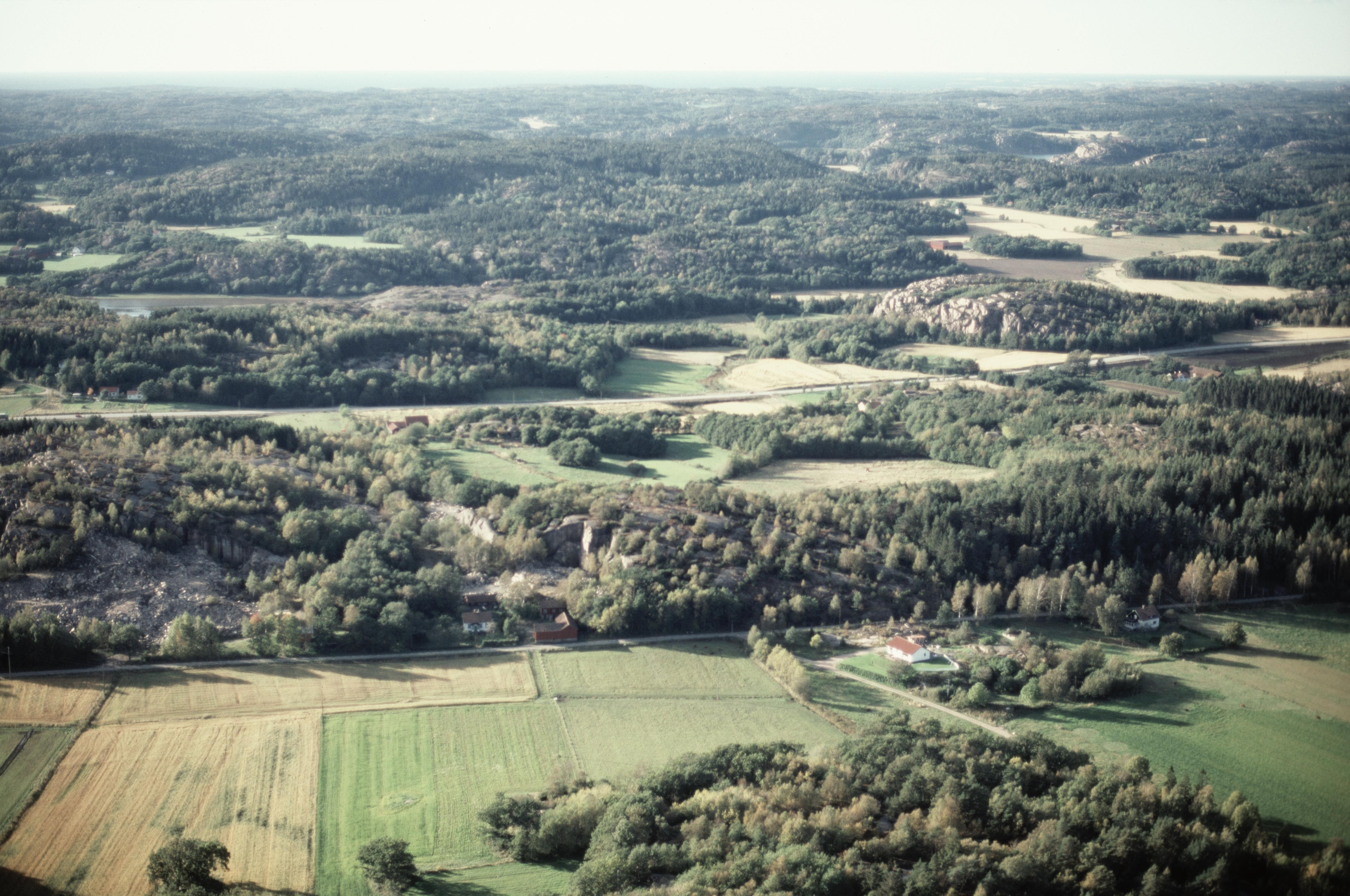 Jan Norrman, Brastad 31:1