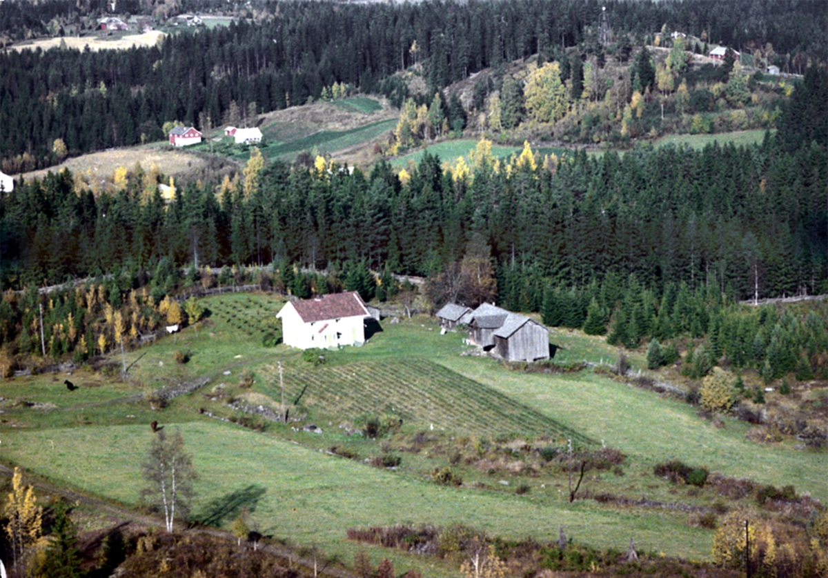 Widerøes Flyveselskap A/S, FLYFOTO ØSTERHAGEN, VALLSET