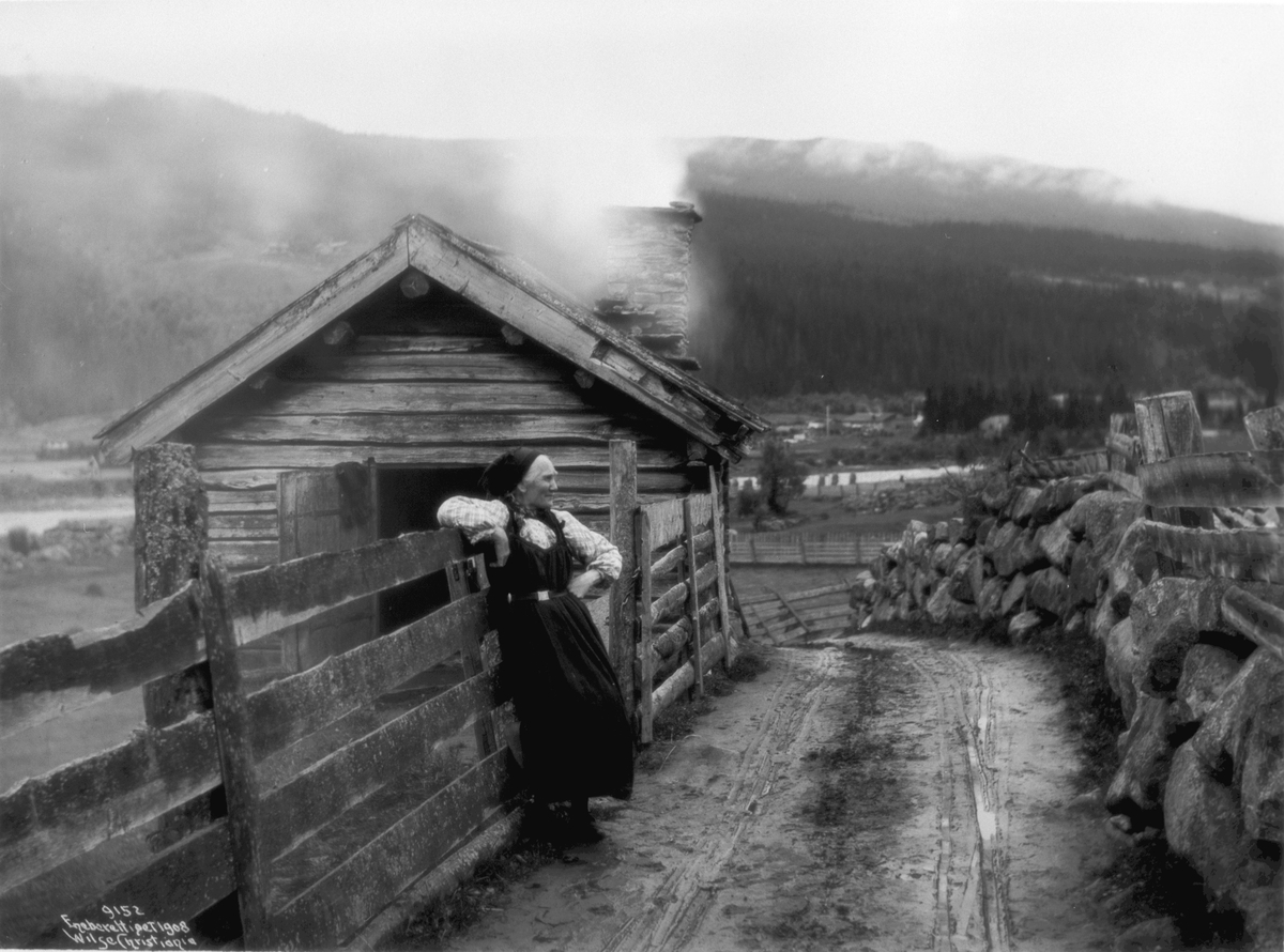 Anders Beer Wilse, Prot: Hallingdal Sæter 1908