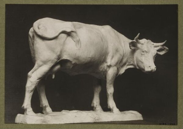 unknown, Photograph