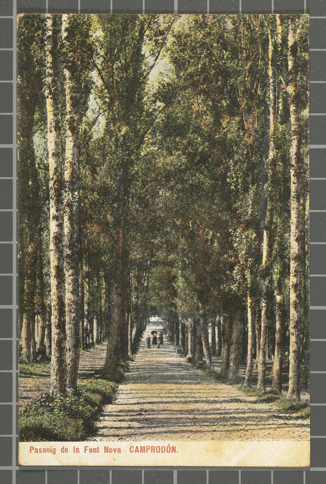 Desconegut, Camprodón. Paseo de la Fuente Nueva
