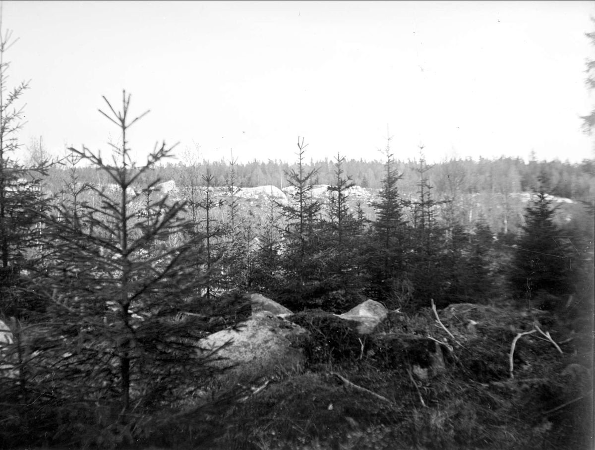 August Fredrik Schagerström, Salstaberg nära Salsta, Lena socken, Uppland maj 1934
