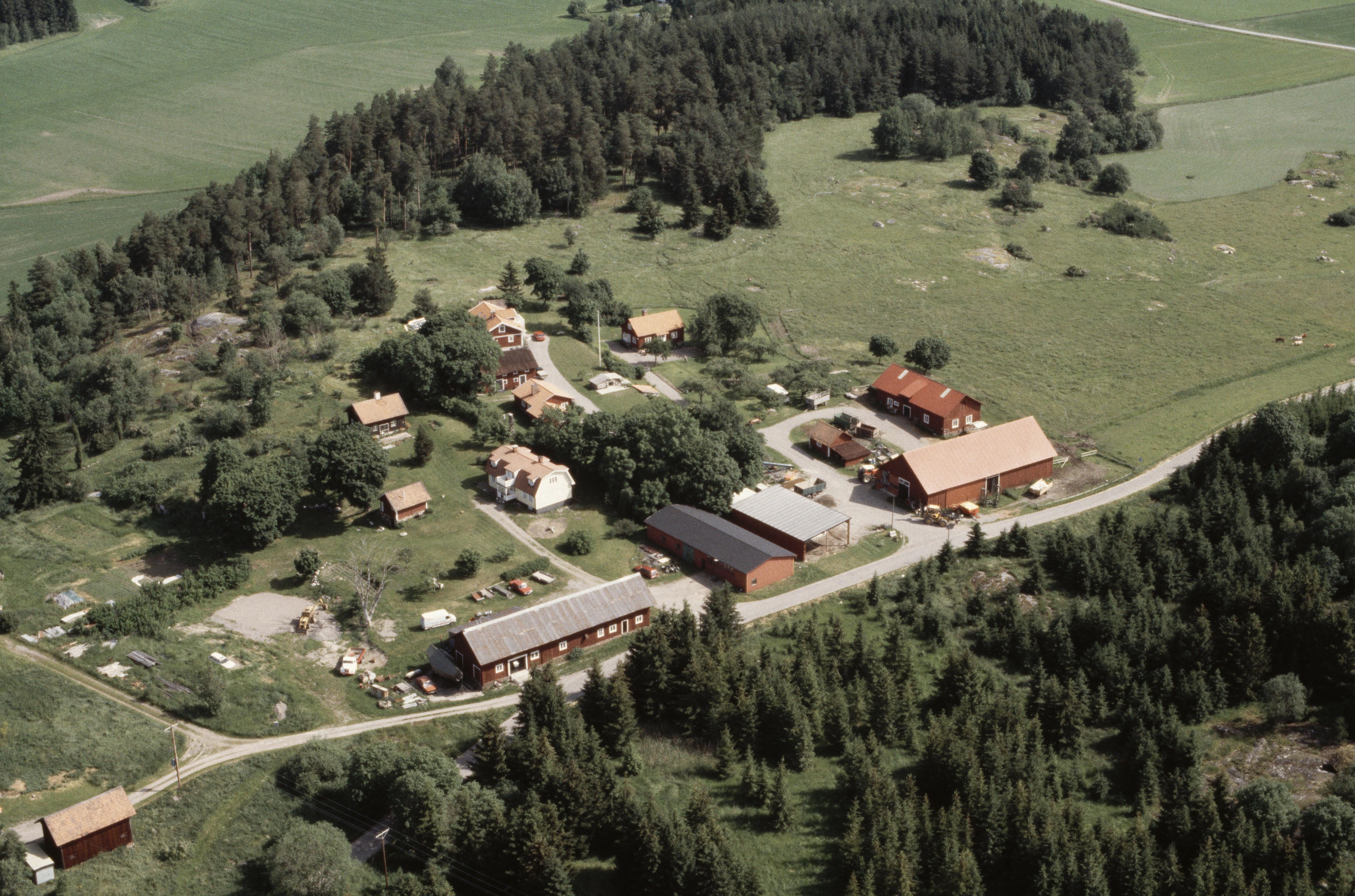 Jan Norrman, Kungsängen 36:1
