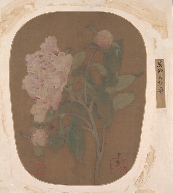 Unidentified artist, Peony Flower and Leaves