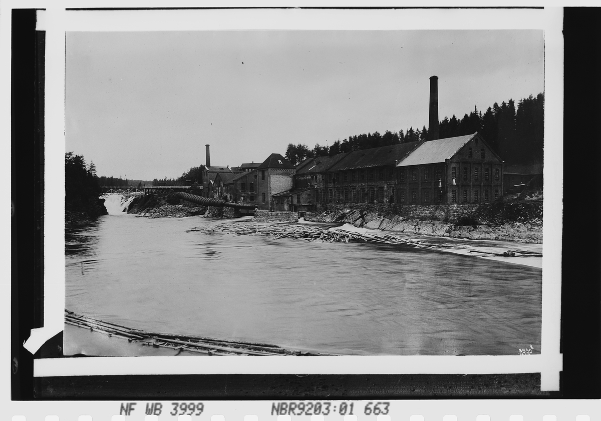 Anders Beer Wilse, Prot:Norske Papirfabriker Hofs brug Hønefoss
