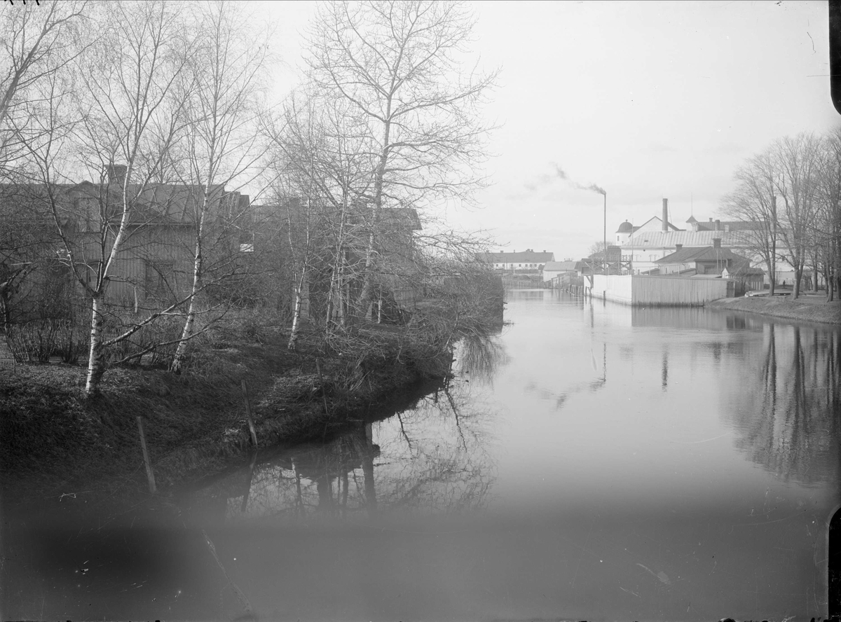 Alfred Dahlgren, From Edda Song to the North, Uppsala 1908