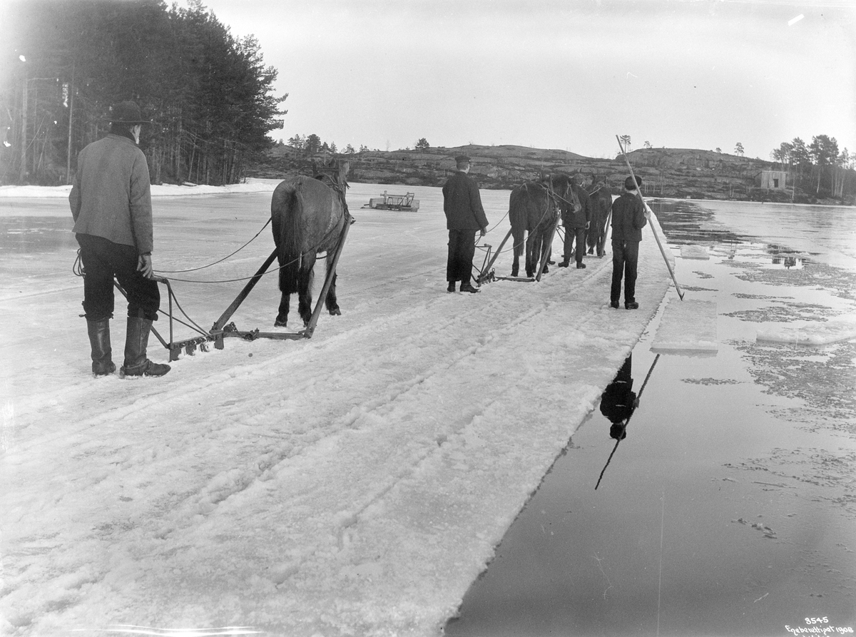 Anders Beer Wilse, Prot: Isskjæring med Heste Kragerø 14/2 1908