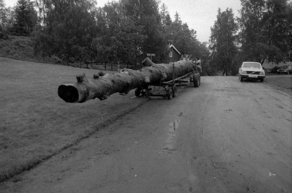 Adolf Skjegstad, TRANSPORT AV TØMMERSTOKK.