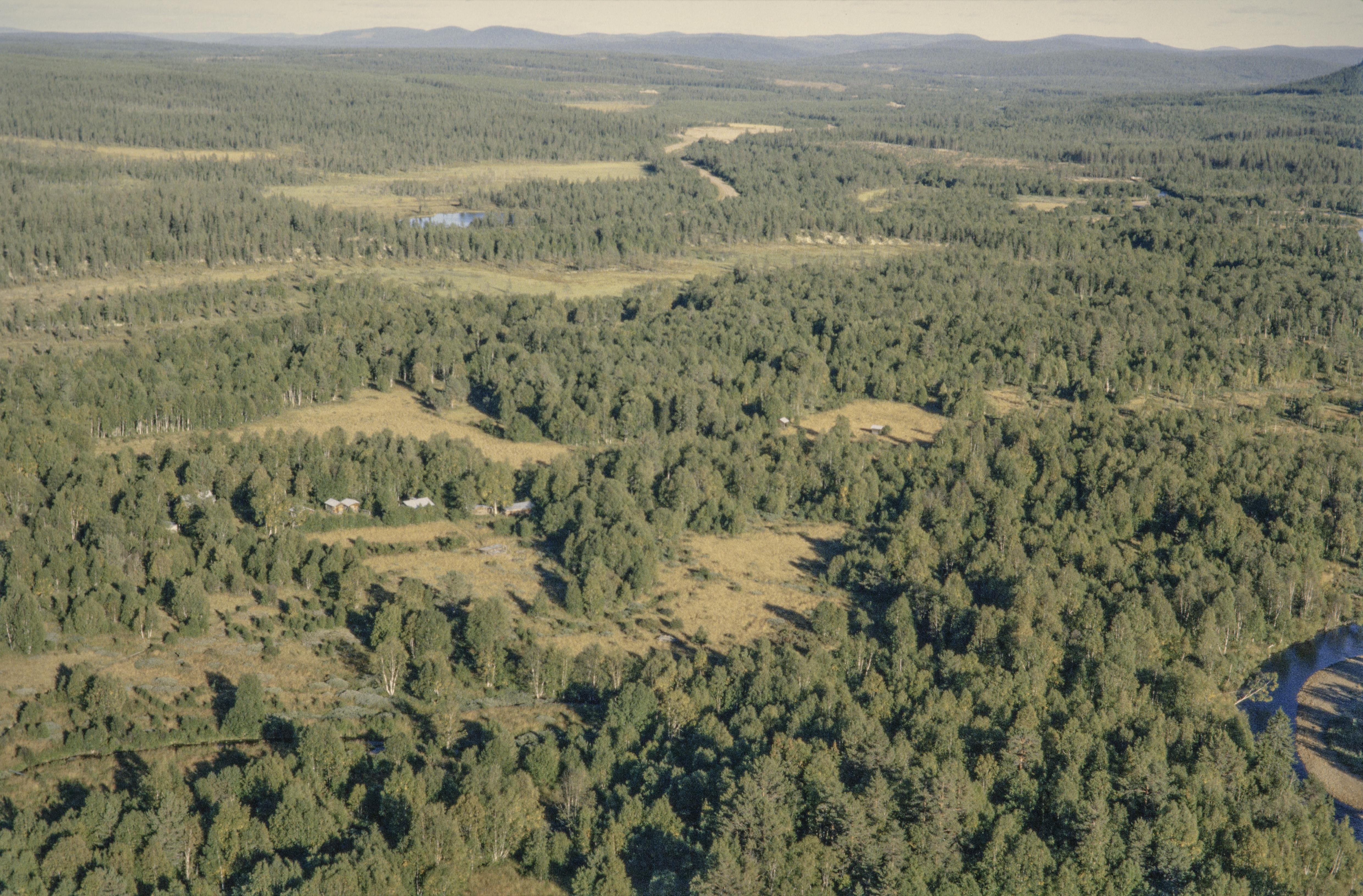 Jan Norrman, Lillhärdal 221:1