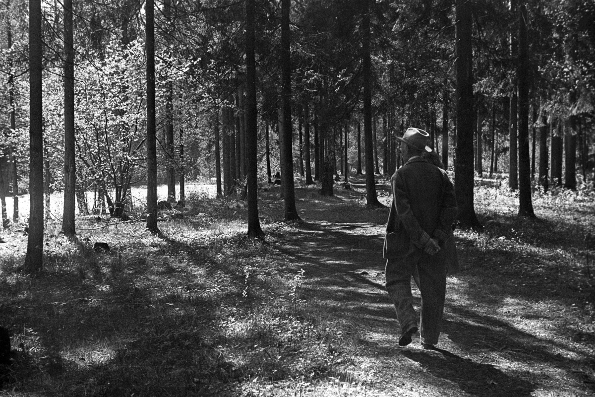 Anders Beer Wilse, Prot: Parken langs elven ved Jar
