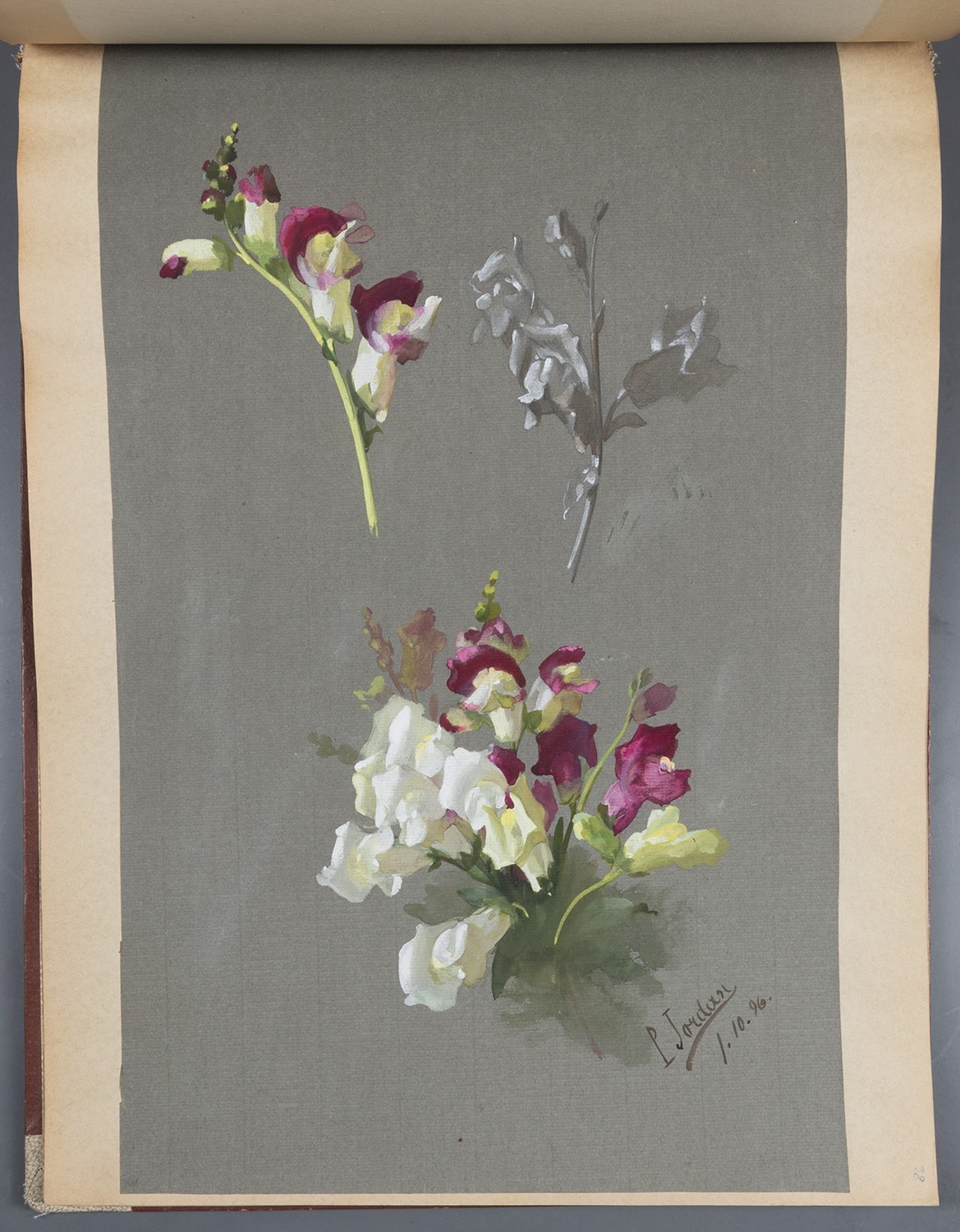 Paul Jordan, Blumen: Löwenmäulchen-Blüten