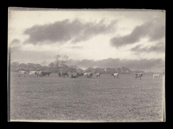 Gale, Lt. Col. Joseph, Rural Life