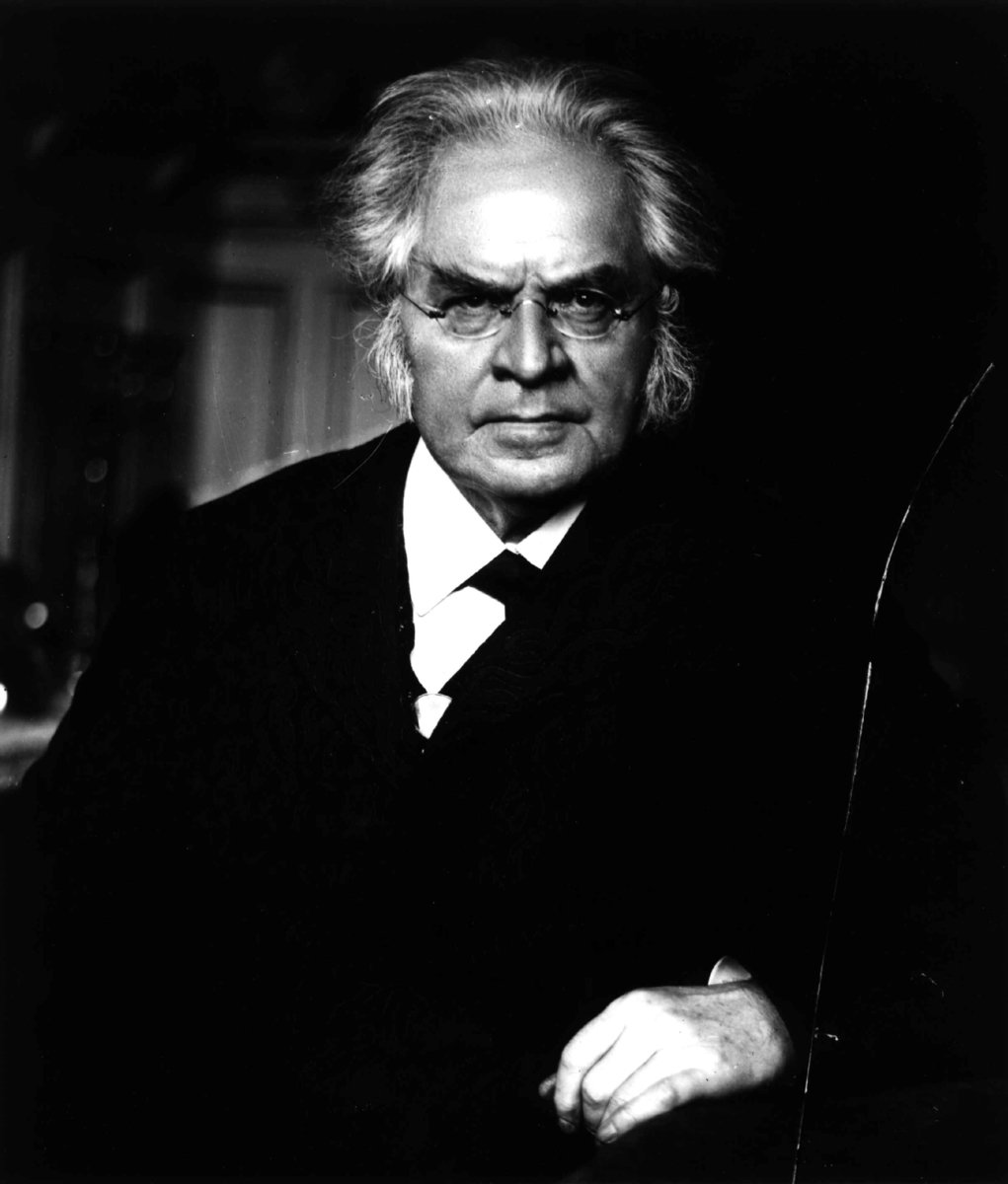 Anders Beer Wilse, Portrett, Bjørnstjerne Bjørnson (1832-1910).