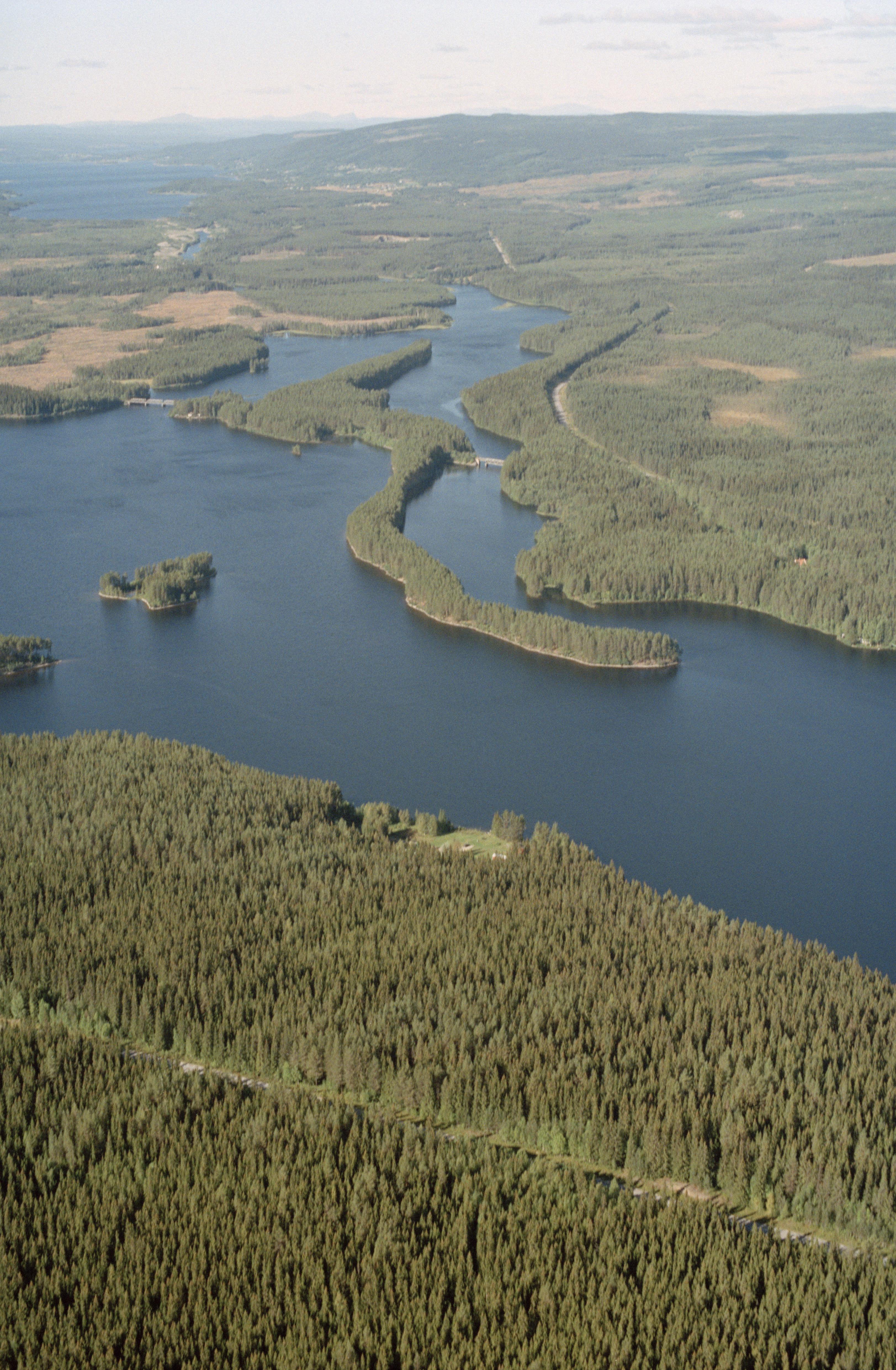 Jan Norrman, Tåsjö 155:1