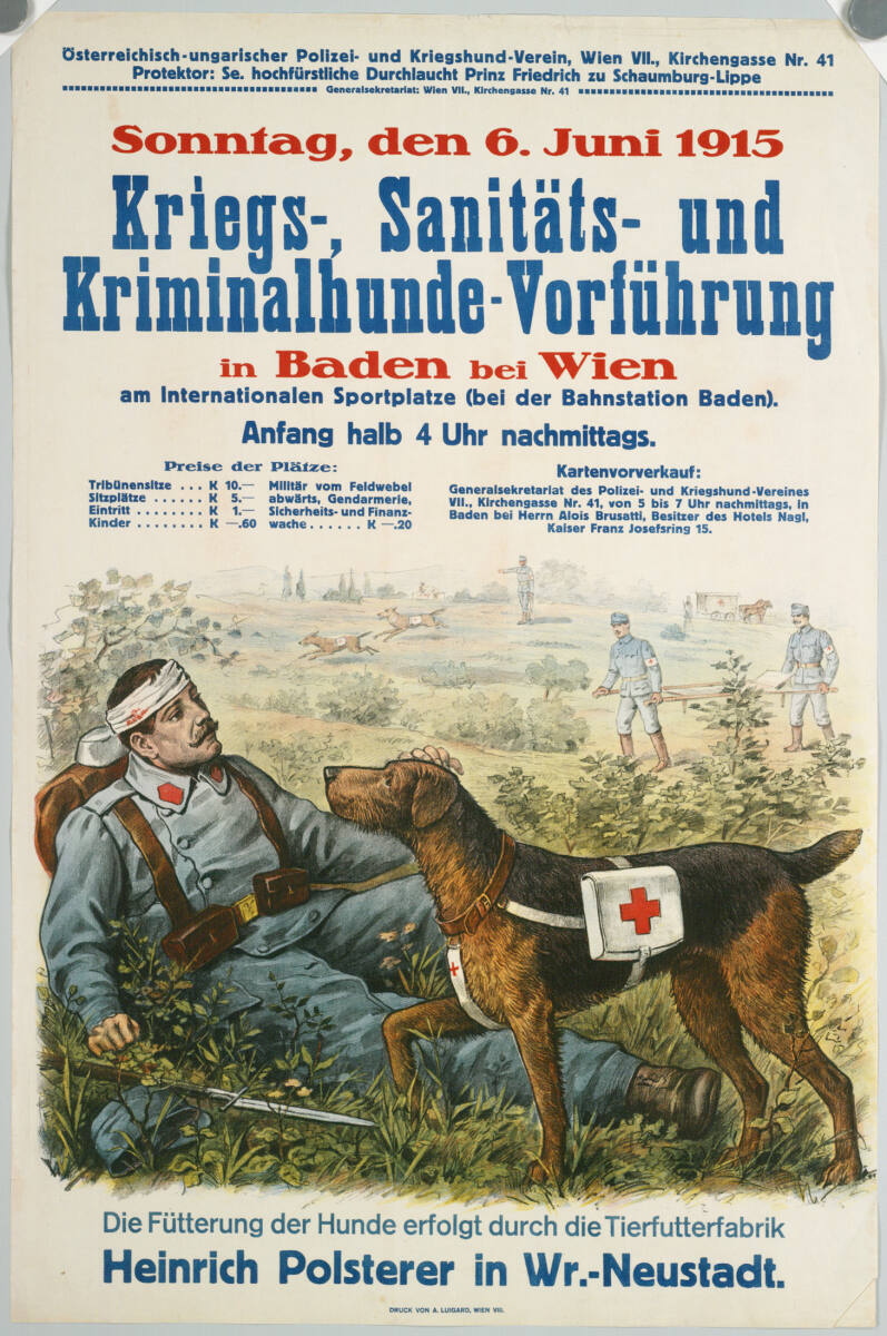 Anonym, Österreichisch-ungarischer Polizei- und Kriegshund-Verein, Wien VII., Kirchengasse Nr. 41; Kriegs-, Sanitäts- und Kriminalhunde-Vorführung in Baden bei Wien; 1915