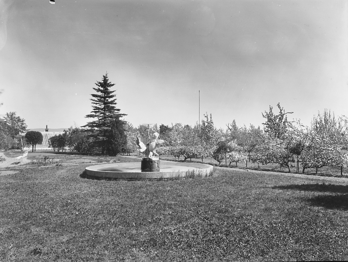 Anders Beer Wilse, Prot: Grøndahl villa