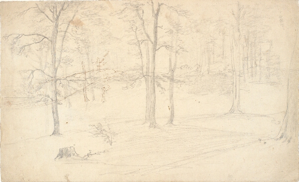 Dankvart Dreyer, Skovstudie