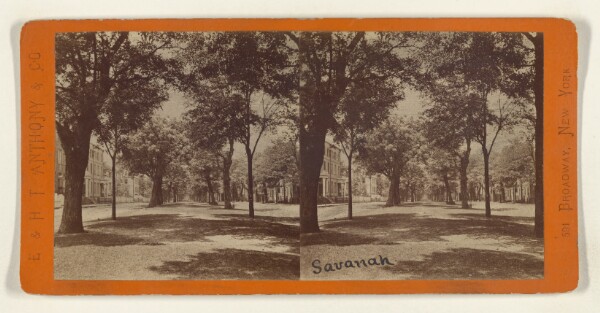 Edward and Henry T. Anthony & Co., South Broad Street, Looking West from Drayton Street. [Savannah, Georgia].