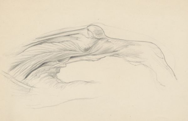 J Tinkelenberg, Muscular tissue of the hand