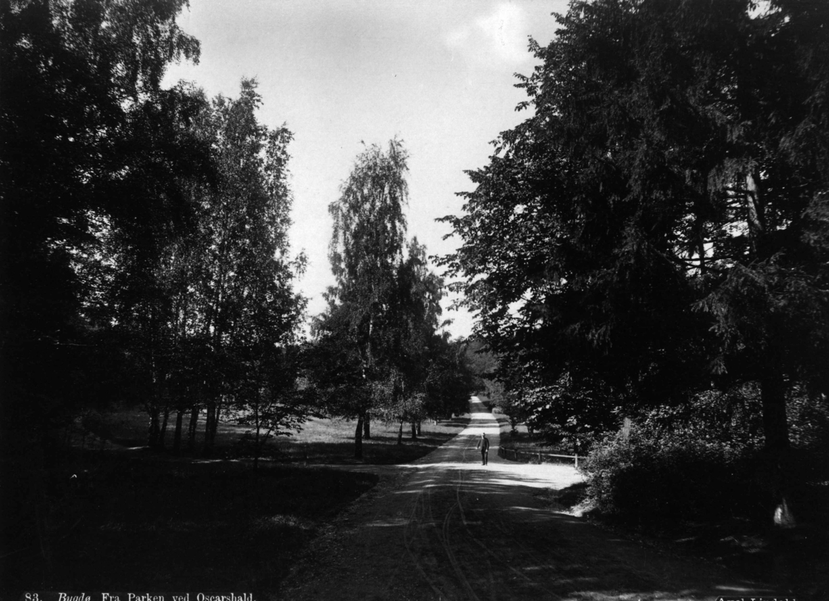Axel Lindahl, Bygdøy, Oslo. Fra parken ved Oscarshall.