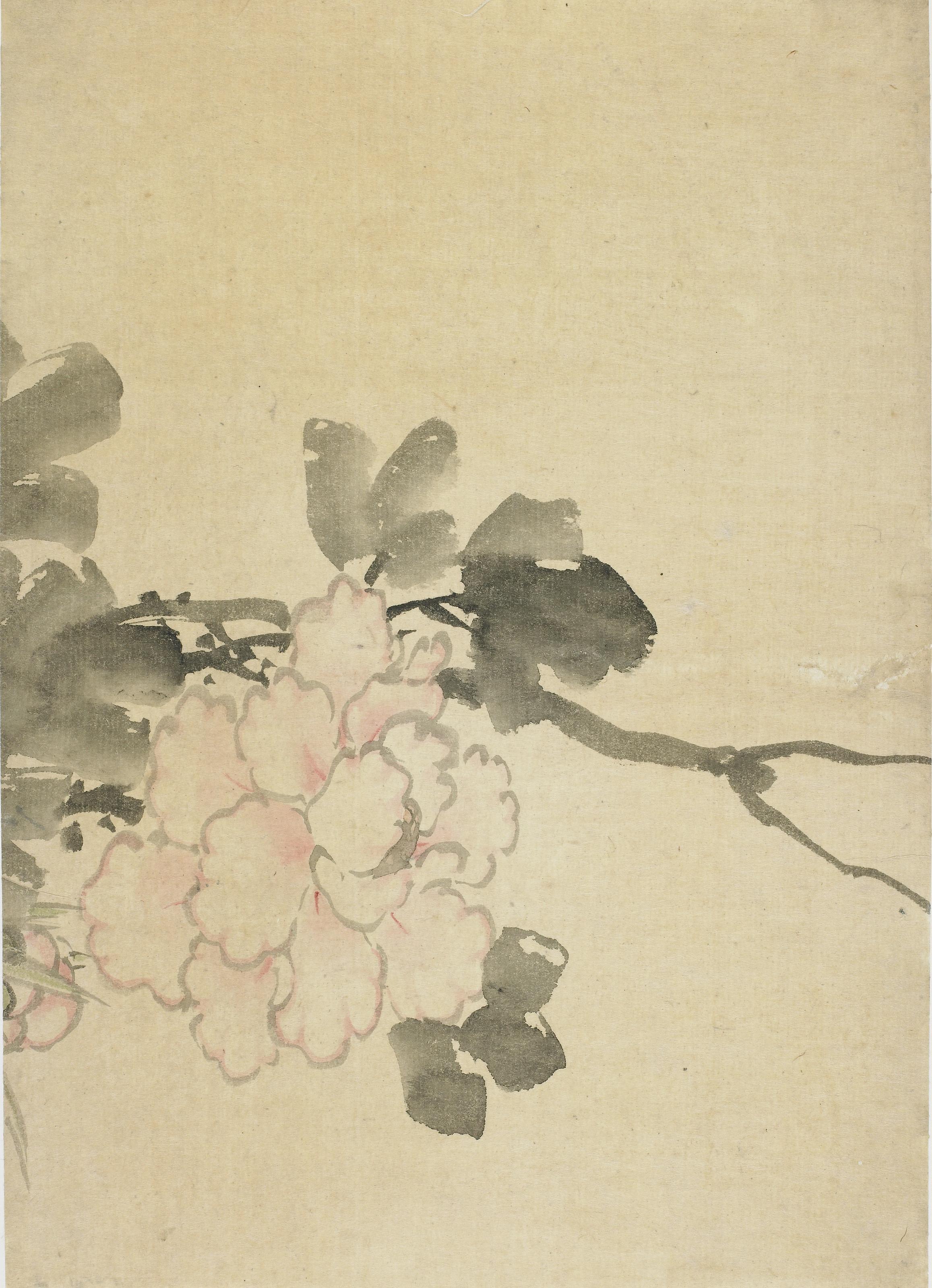 Katsushika Hokusai, Peony