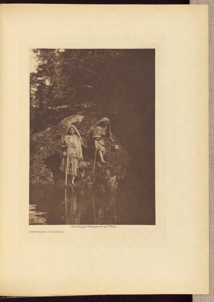 Edward S. Curtis, Gathering Seaweed