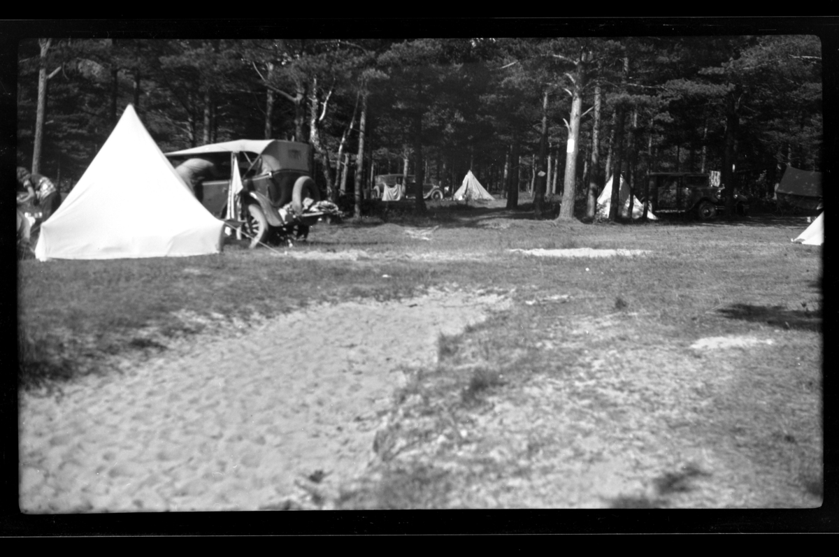 Rolf Sr. Sundt, Teltplass i skog ved Fevik. Fotografert juli 1932.
